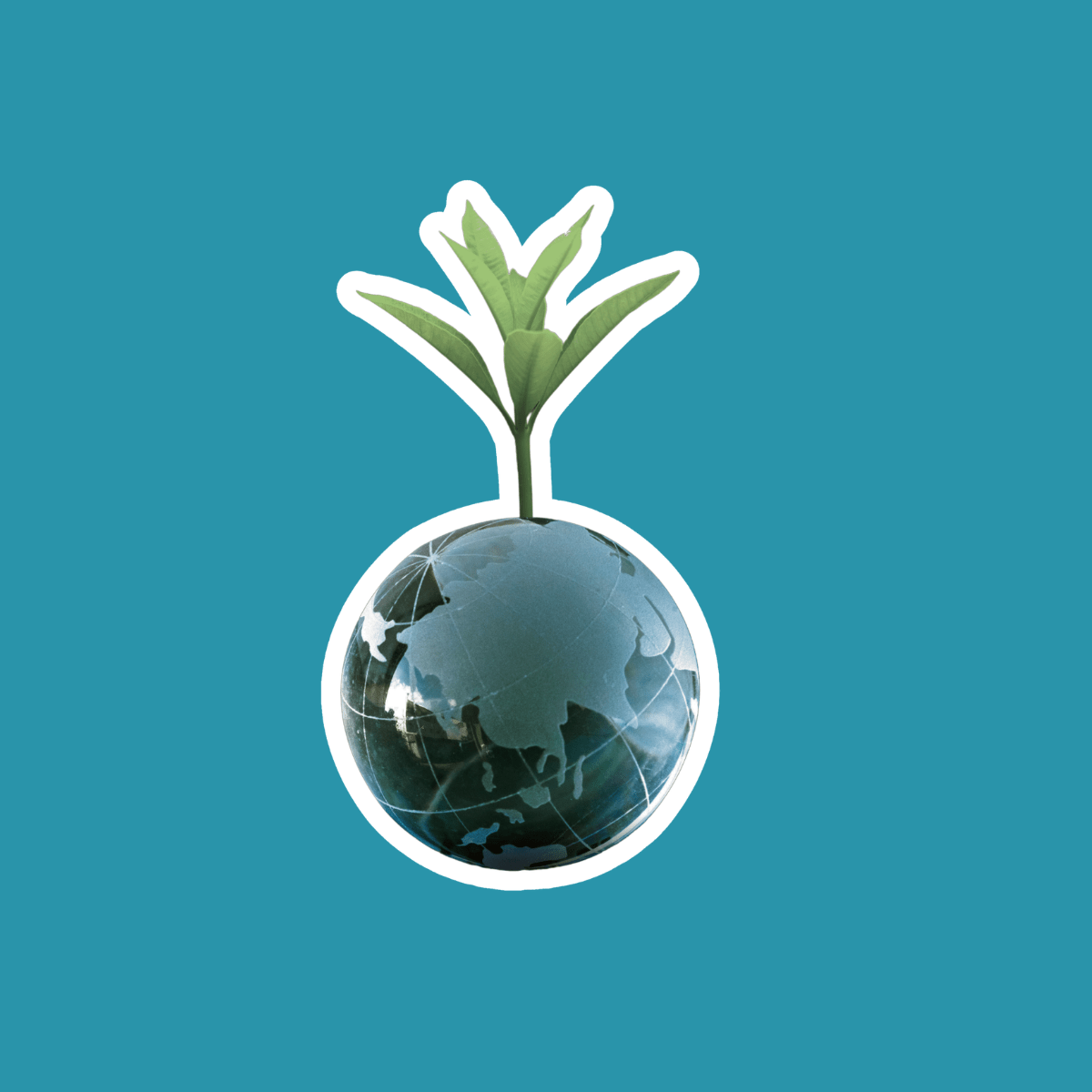 Environmental assessment icon