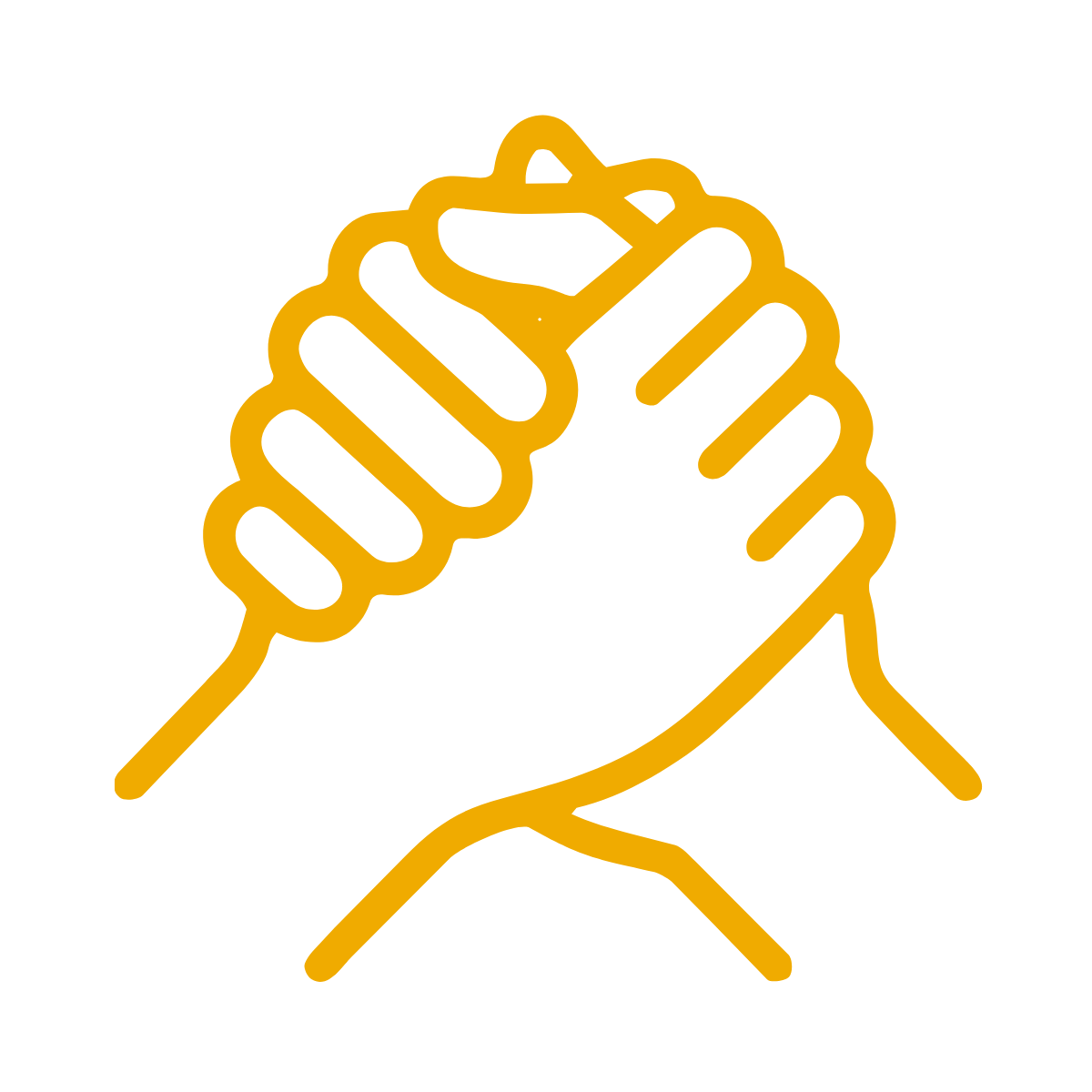 Supporter tier icon